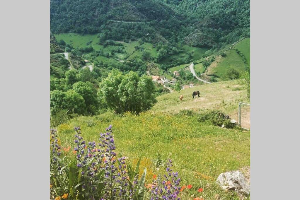 Вилла Casa Con Vistas Y Encanto En Parque Natural Парамо Экстерьер фото